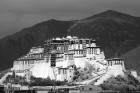 Buddismo Tibetano Lamaismo - India con Massimo Taddei